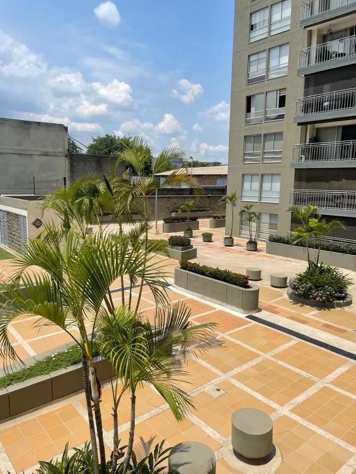 Patio con palmas y jardineras del conjunto